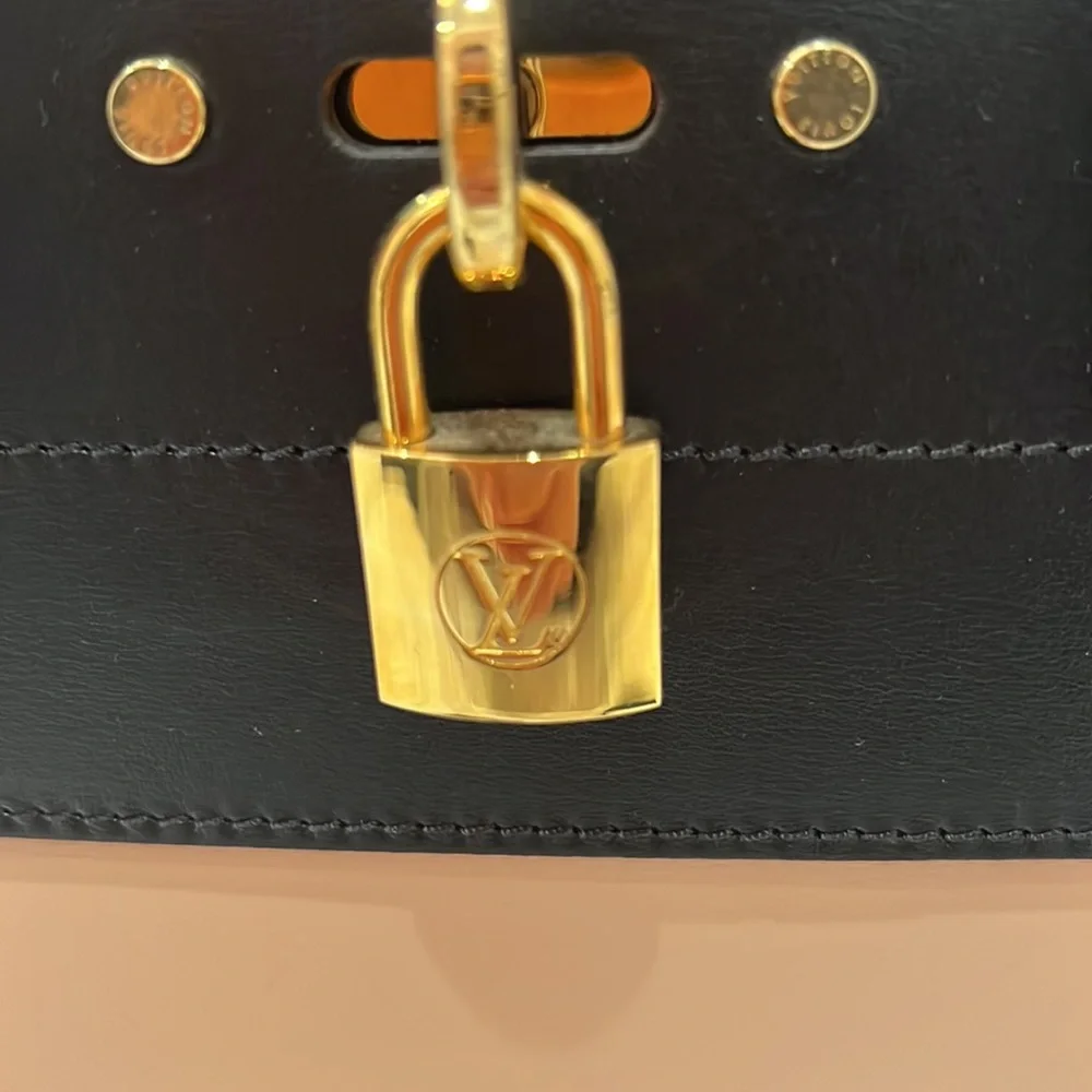 Louis Vuitton City Steamer MM Vani/Noir - Picture 4 of 16